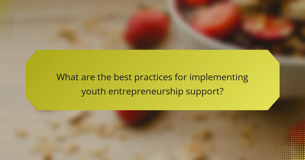 What are the best practices for implementing youth entrepreneurship support?