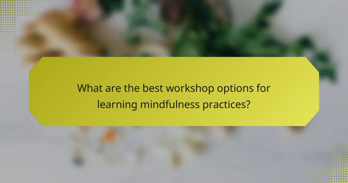 What are the best workshop options for learning mindfulness practices?