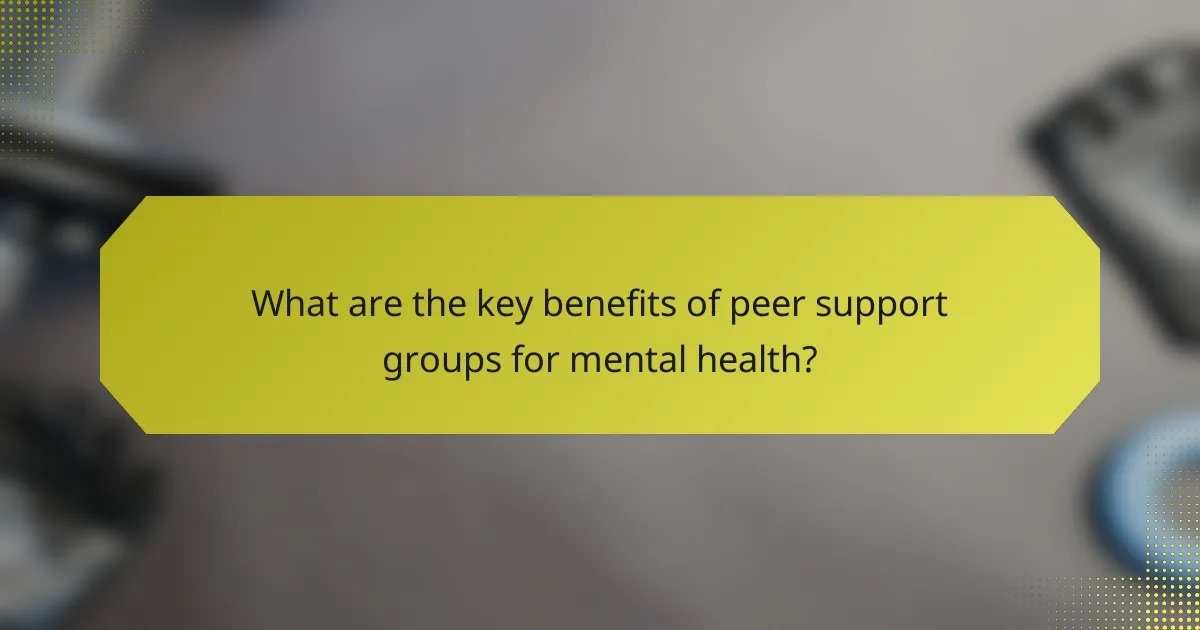 What are the key benefits of peer support groups for mental health?