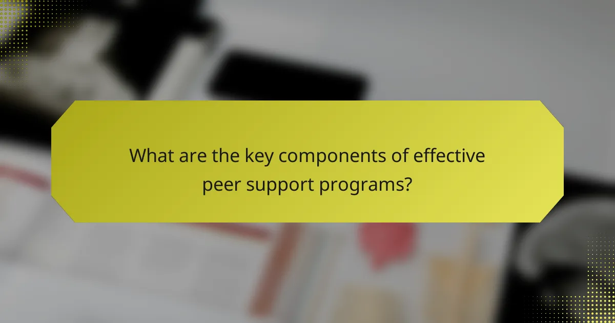 What are the key components of effective peer support programs?