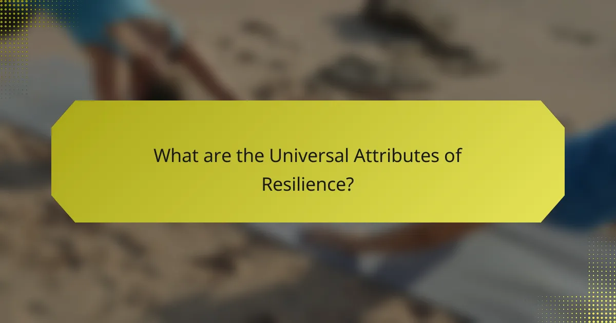 What are the Universal Attributes of Resilience?