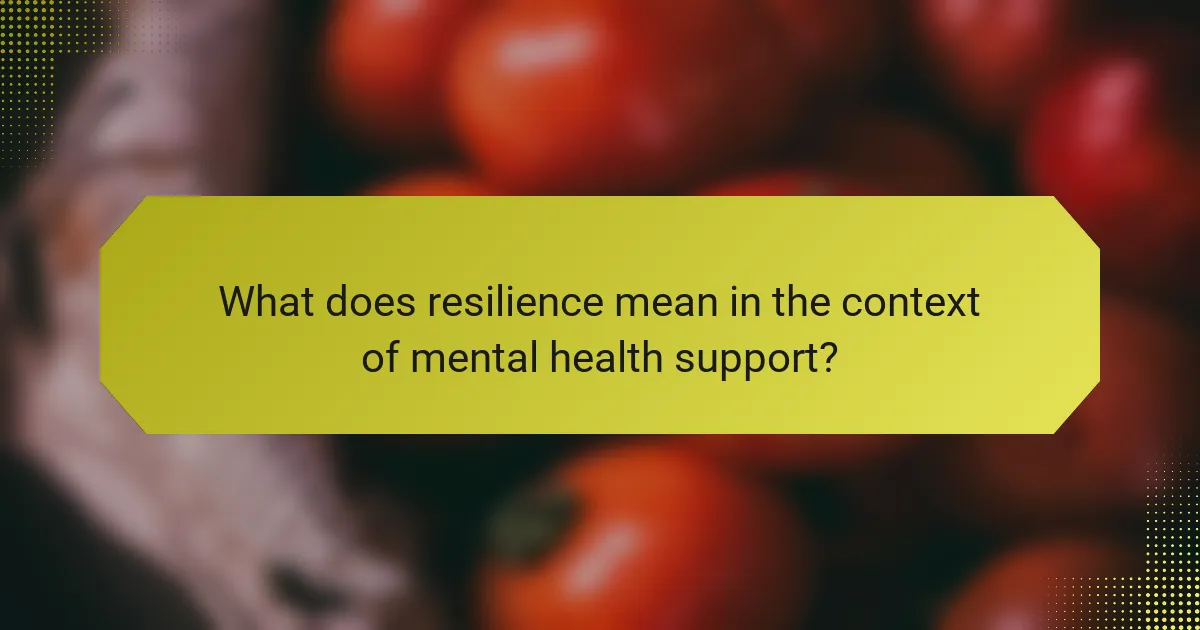 What does resilience mean in the context of mental health support?