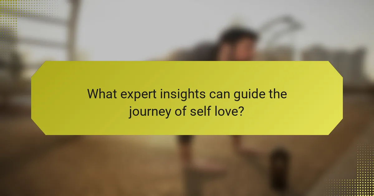 What expert insights can guide the journey of self love?