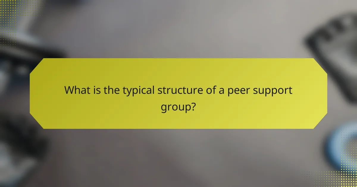 What is the typical structure of a peer support group?
