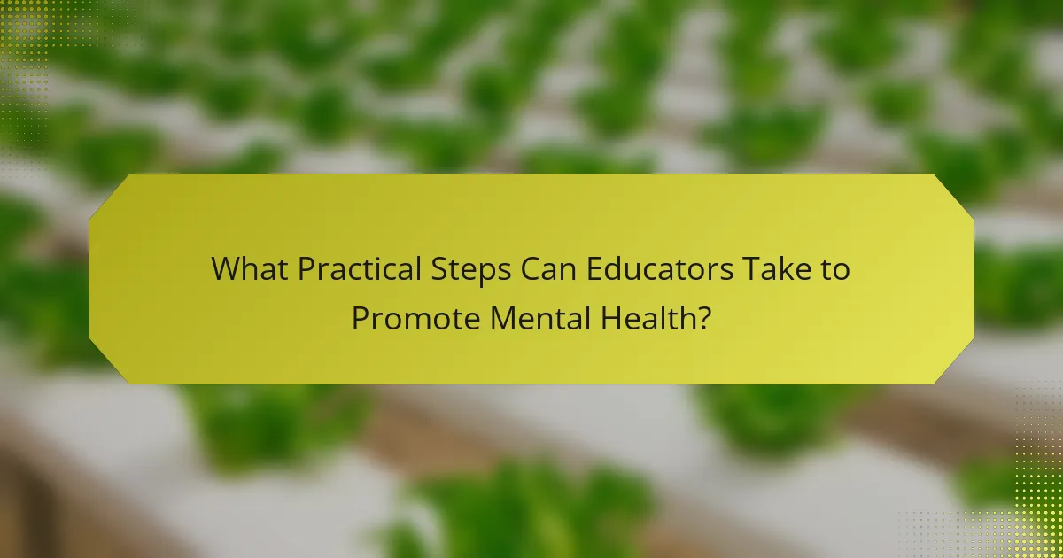 What Practical Steps Can Educators Take to Promote Mental Health?