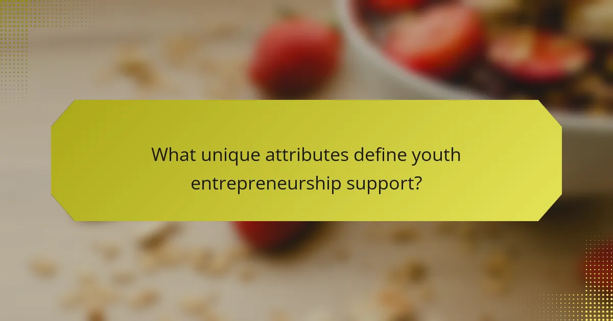 What unique attributes define youth entrepreneurship support?