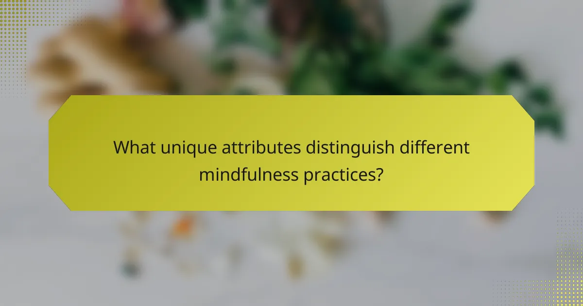 What unique attributes distinguish different mindfulness practices?