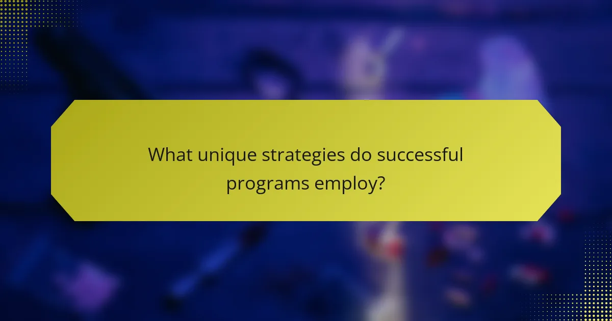 What unique strategies do successful programs employ?